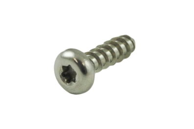 Screw, K30x10 Pan Torx